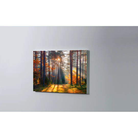 Forest Trees Magnetic Wall Mounted Cork Board