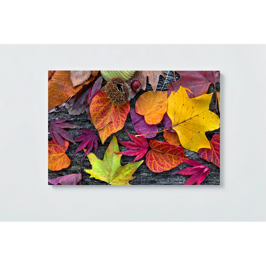 Leaves Motif Magnetic Wall Mounted Cork Board