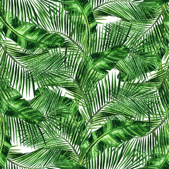 Hoye Wallpaper