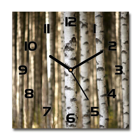 Haoqi Silent Wall Clock