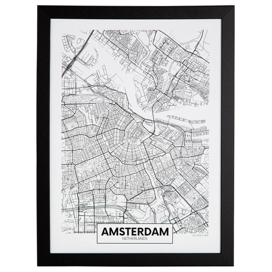 Picture Frame Graphic Art Print on Canvas