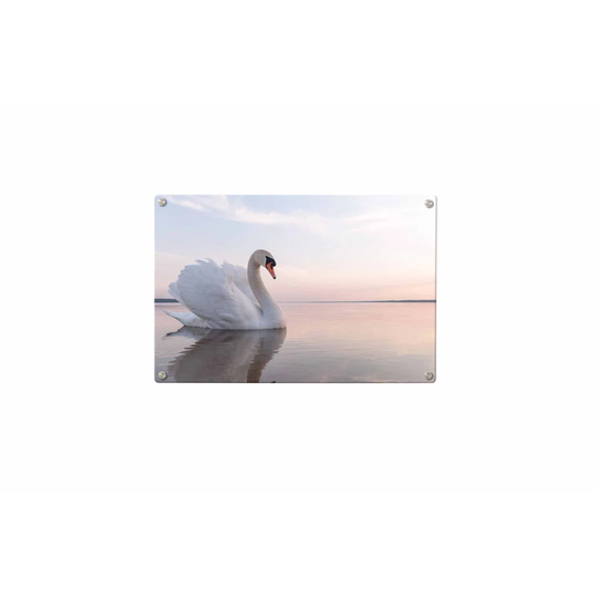 Swan Magnetic Wall Mounted Photo Memo Board