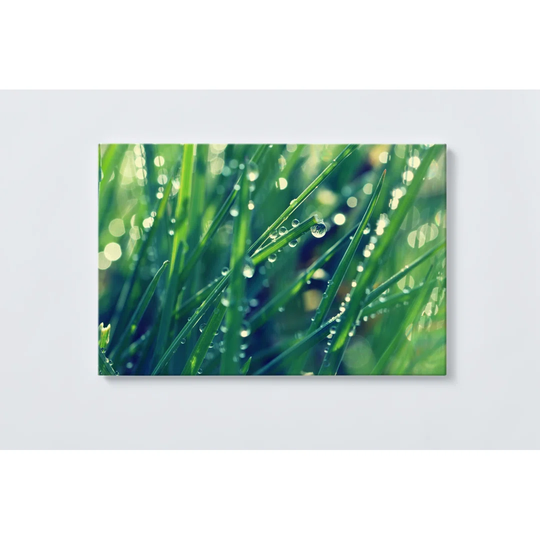 Grass Magnetic Wall Mounted Cork Board