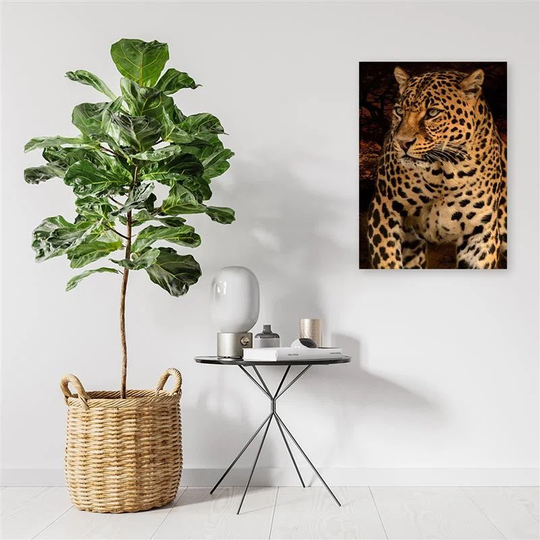 Canvas Print Leopard Wildlife Nature