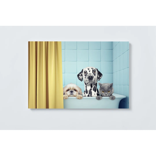 Dog Cat Magnetic Wall Mounted Cork Board