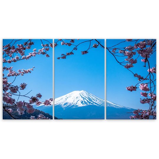 Canvas Print Mount Fuji