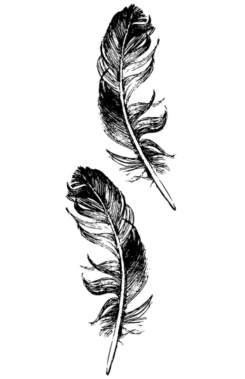 Walllpaper Roll 208X146cm Mural Decoration Kitchen Livingroom Bedroom Wallpaper Material With Print - Feather Bird