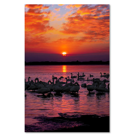 Canvas Print, Orange Landscapes 16406