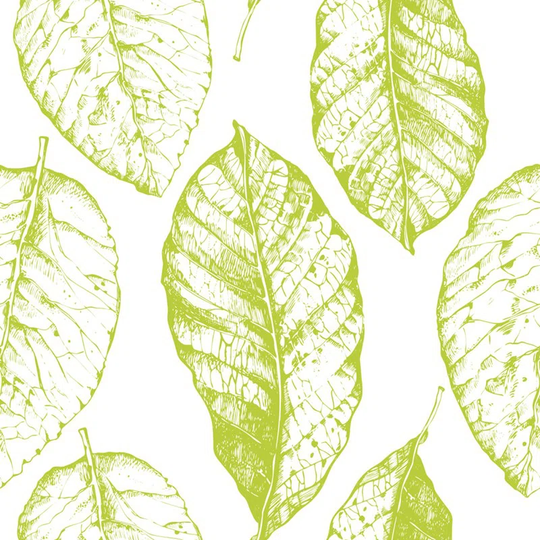 Walllpaper Roll 416X254cm Mural Decoration Kitchen Livingroom Bedroom Wallpaper Material With Print - Lime Leaves Floral