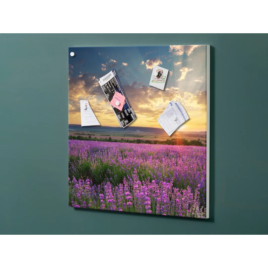 Notiz Motive Meadow Sunset Magnetic Wall Mounted Cork Board