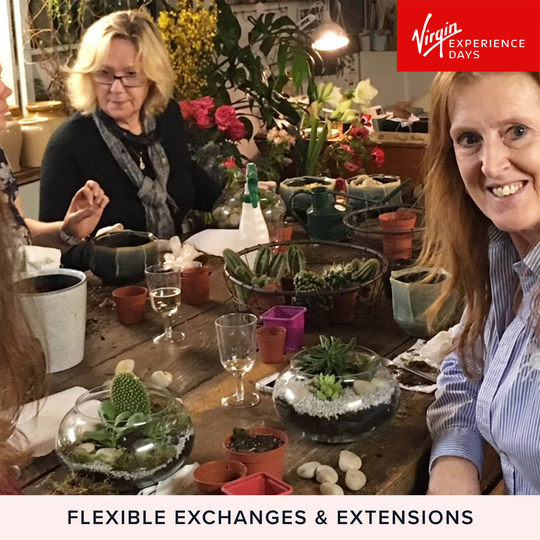 Terrarium Workshop with Prosecco