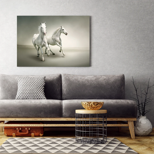 Canvas Print, White Animals 16781