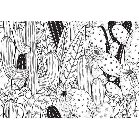 Jerrae 4.16m x 2.54m Matte Wallpaper Roll