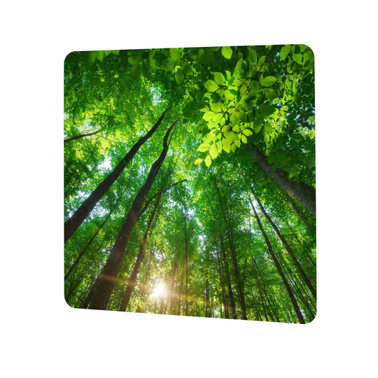 Tree Forest Magnetic Wall Mounted Magnetic Board