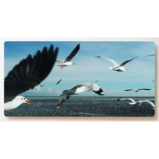 Backlight Motif Wall Picture Seagulls Magnetic Cork Board