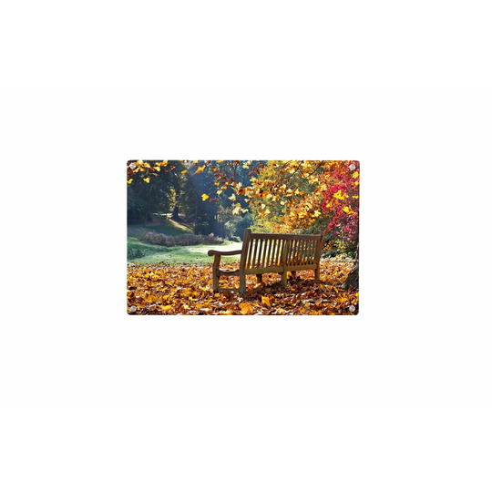 Park Bank Magnetic Wall Mounted Photo Memo Board