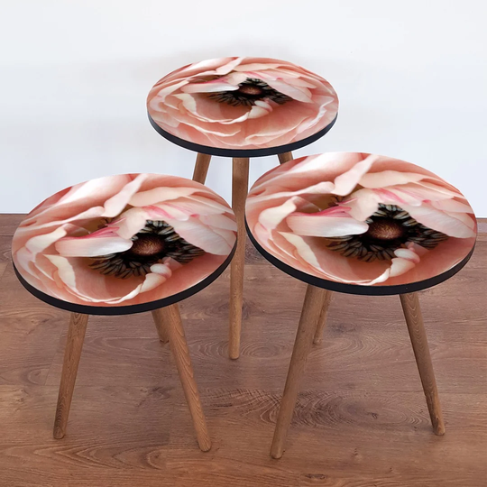 Arriola 3 Piece Nest of Tables