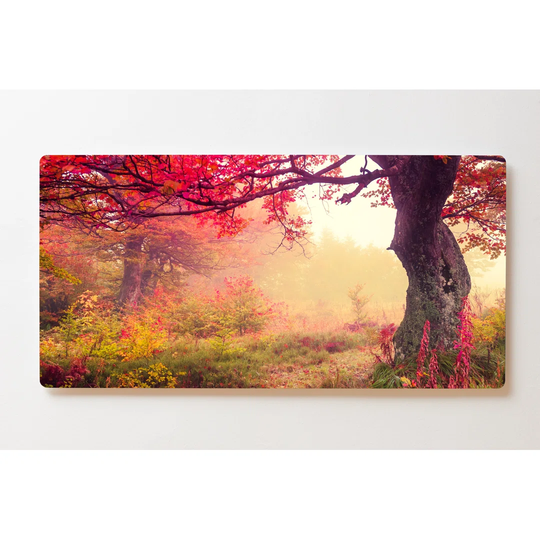 Backlight Motive Wall Picture Tree Autumn Magnetic Cork Board