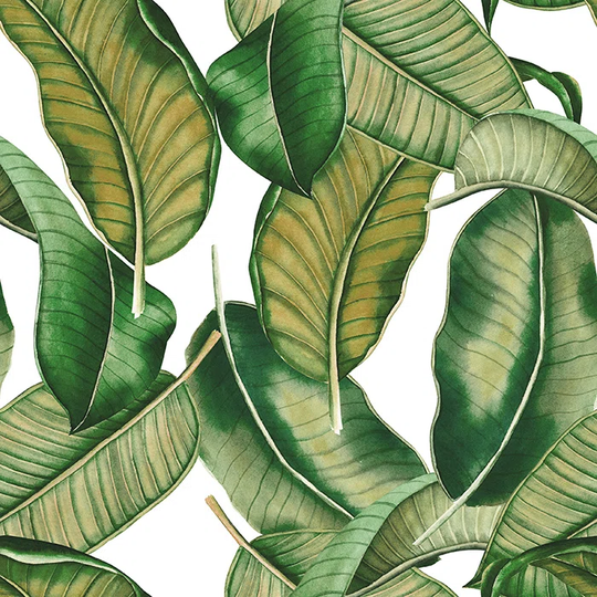 Walllpaper Roll 208X146cm Kitchen Livingroom Bedroom Mural Decoration Wallpaper Material With Print - Botanical Leaves
