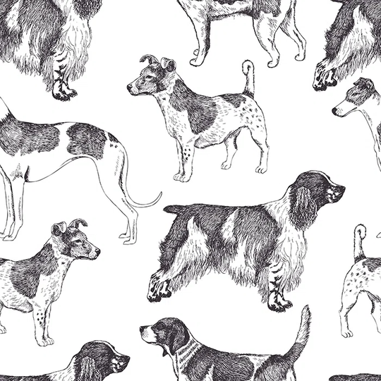 Jonricha 4.16m x 2.54m Matte Wallpaper Roll