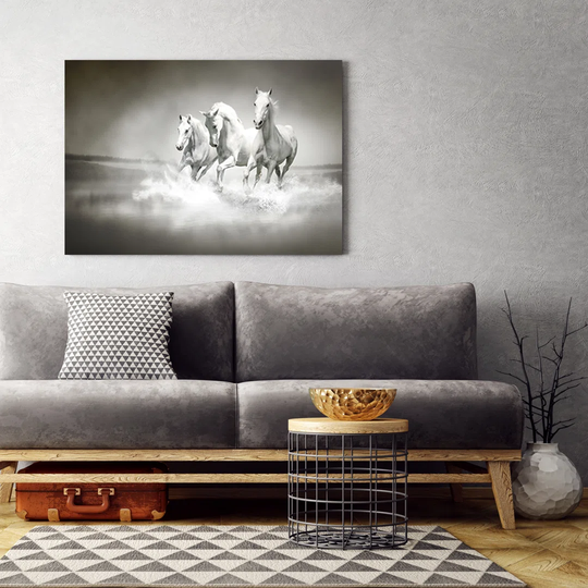 Canvas Print, White Animals 16782
