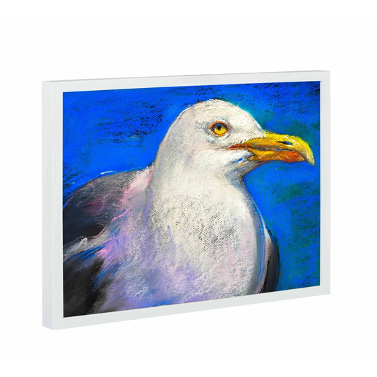Seagull Magnetic Wall Mounted Photo Memo Board