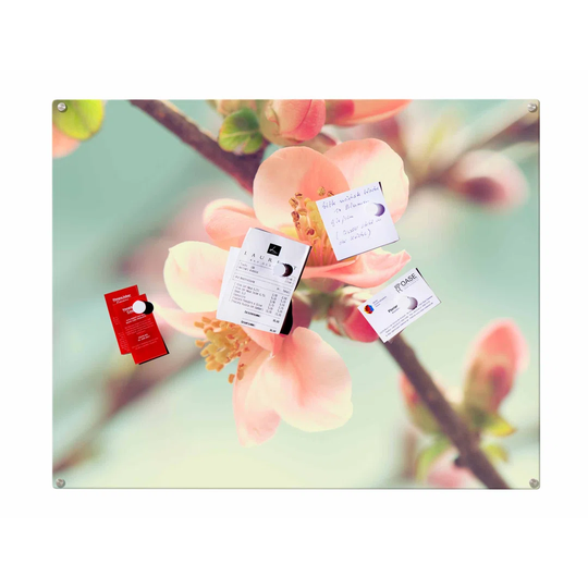 Blossoms Magnetic Wall Mounted Photo Memo Board