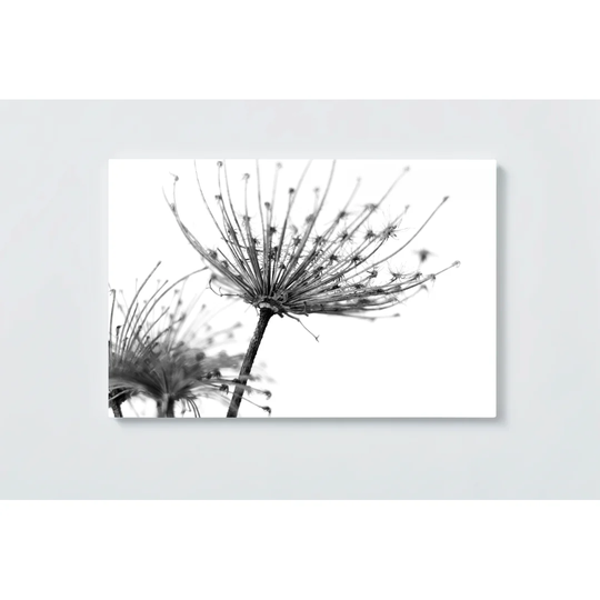 Shrubs Motif Magnetic Wall Mounted Cork Board