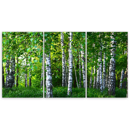 Canvas Print Birch Forest Green