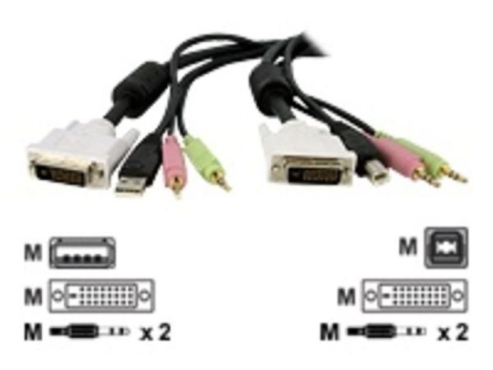 Startech 4-IN-1 USB Dual Link DVI-D KVM Switch Cable with Audio and Microphone