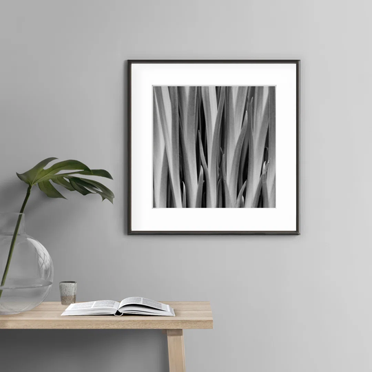 Botanic N°1 - Picture Frame Photograph Print on Paper