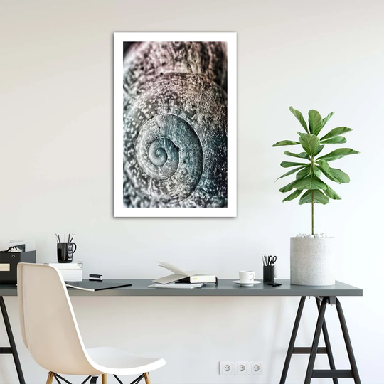 Poster, Structure Of An Old Shell