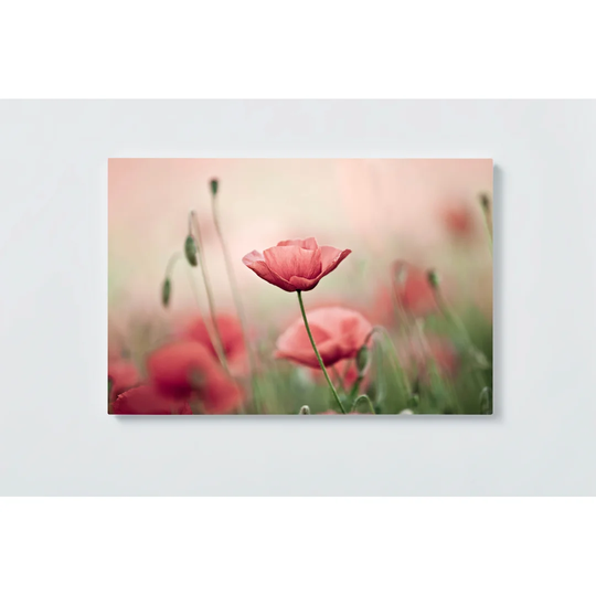 Poppy Motif Magnetic Wall Mounted Cork Board
