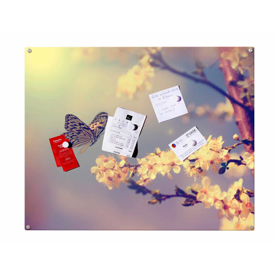 Butterflies Magnetic Wall Mounted Photo Memo Board