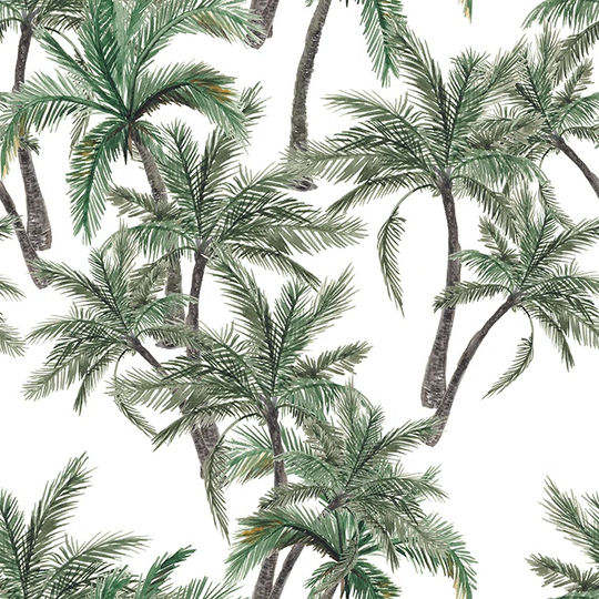 Dacey Palmsbrown Wallpaper