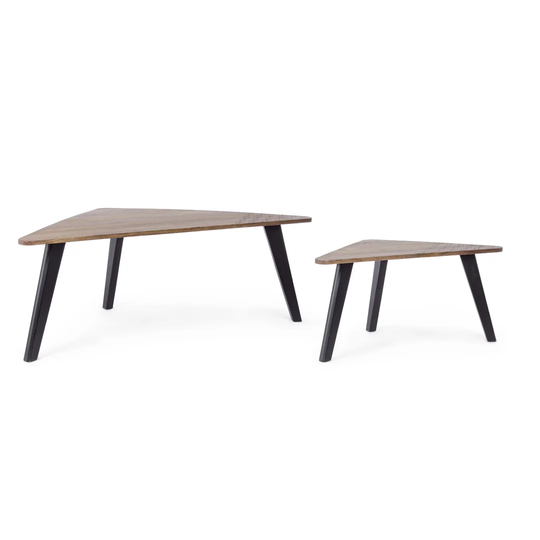 Puma 2 Piece Coffee Table Set