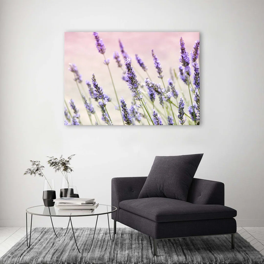Canvas Print Lavender Nature Flowers