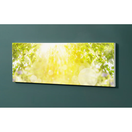Notiz Motive Trees Magnetic Wall Mounted Cork Board