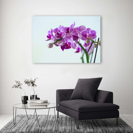 Canvas Print Pink Orchids