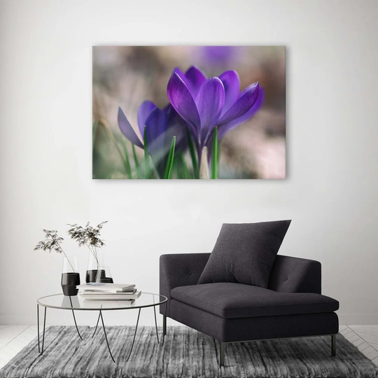 Canvas Print Crocus Flowers Nature