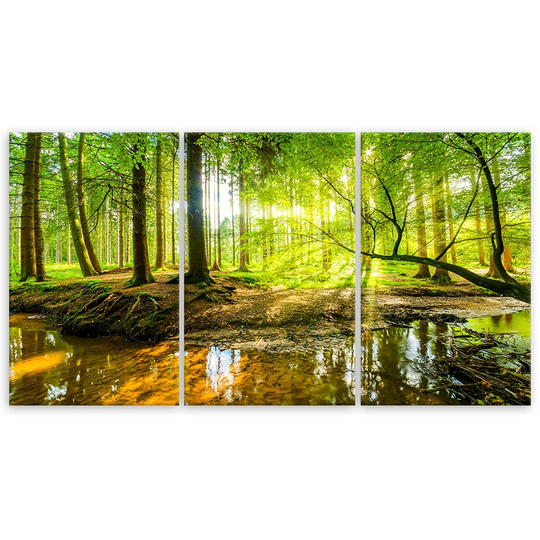 Canvas Print Forest Lake Nature
