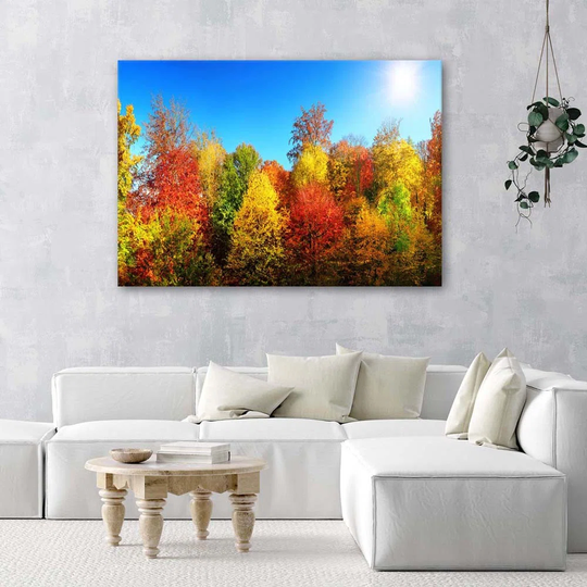 Canvas Print Colourful Forest Autumn Landscape