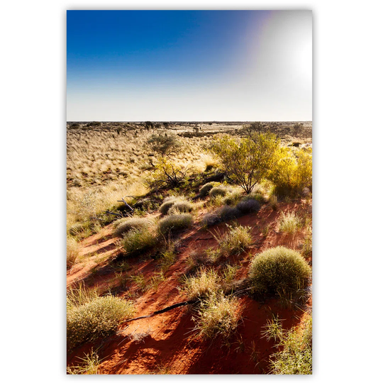 Canvas Print, Colorful Landscapes 16306