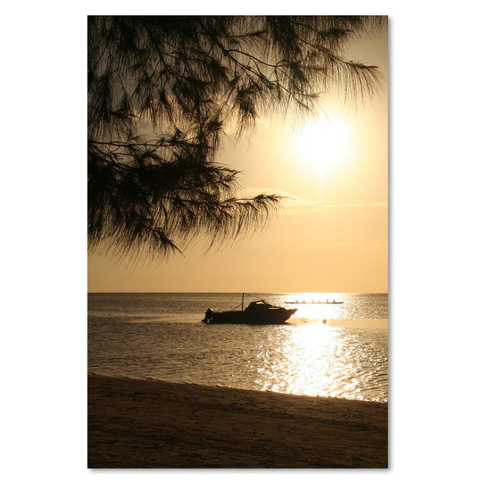 Canvas Print, Orange Landscapes 16403