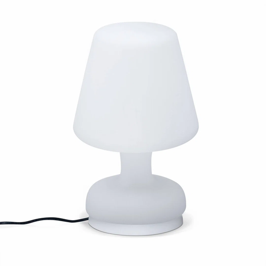 Oconnor 1 Light Decorative and Accent Lights