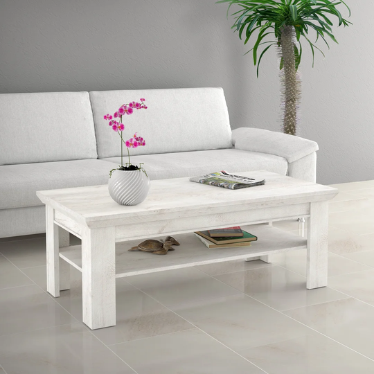 Aleisha Coffee Table