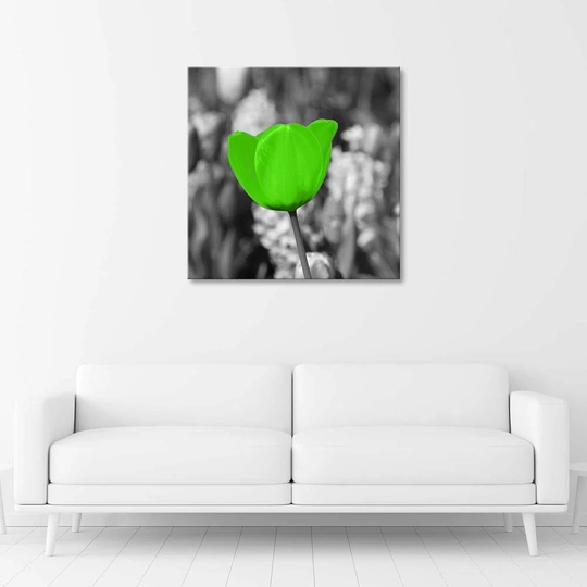Canvas Print Tulips Flower