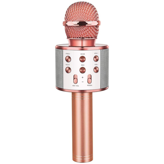 Letsgocoo Bluetooth Wireless Microphone for Kids - Toys&Gifts