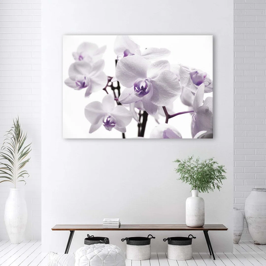 Canvas Print Orchid Flower Purple