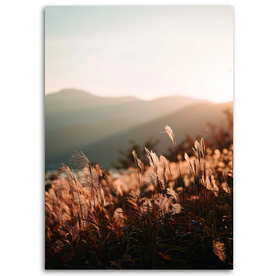 Canvas Print Meadow Mountain Nature